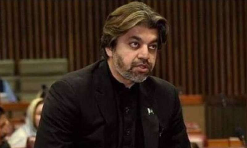 PTI protest: Ali Muhammad Khan questions Aleema Khan, Bushra Bibi’s role