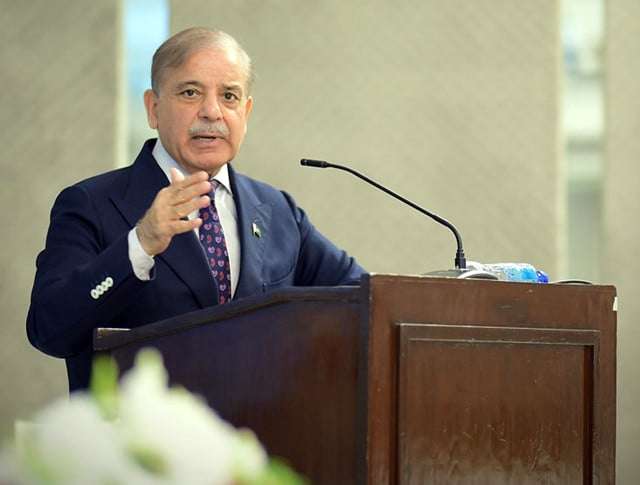 PM Shehbaz forms national youth council