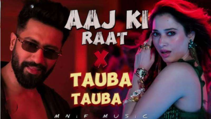 ‘From Tauba Tauba to Aaj ki Raat’: The hits that shaped the year 2024