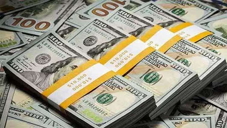 Dollar rally pauses ahead of US inflation test