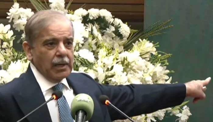 Pakistan's economy getting back on its feet, says PM Shehbaz