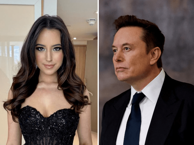 ‘Sexlaptop’: Ashley St. Clair’s past under scrutiny after revealing Elon Musk fathered her child