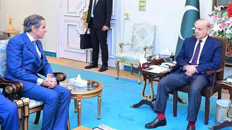 PM, IAEA chief discuss peaceful use of nuclear technology