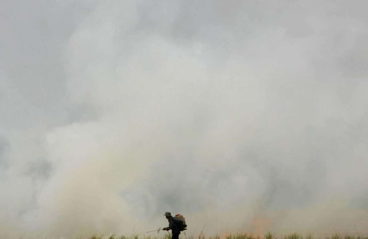 Thailand orders stubble burning crackdown