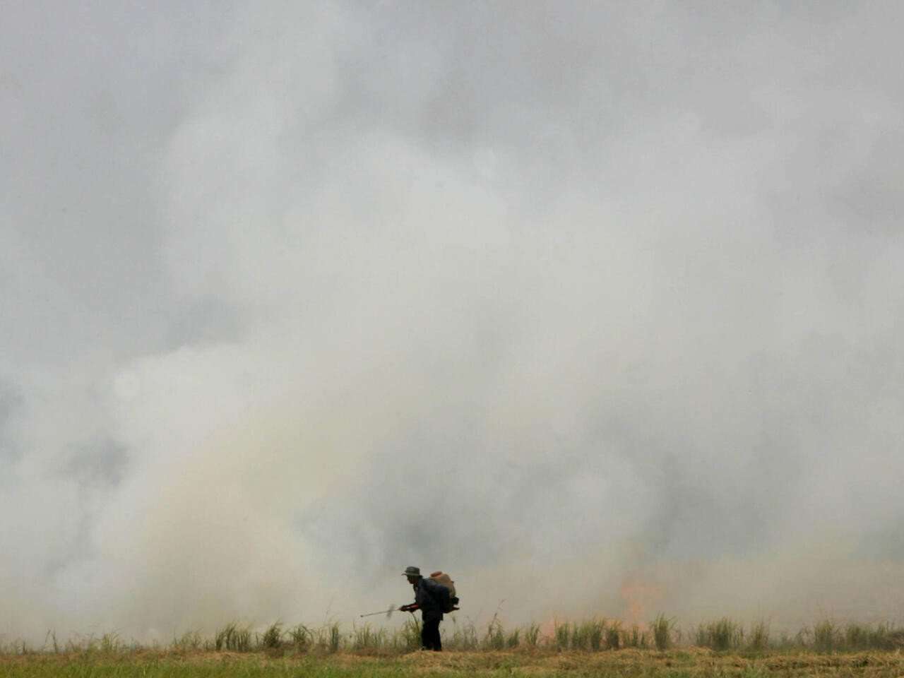 Thailand orders stubble burning crackdown