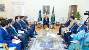 PM Shehbaz calls for stronger Pak-UAE ties in various fields